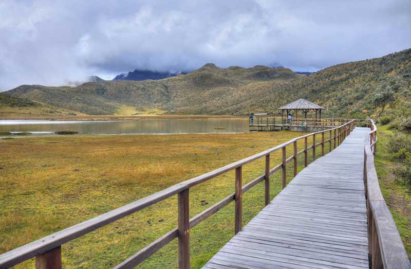 Image of wooden boardwalk along the grassy shore of a lake