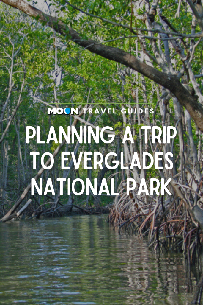 Image of mangrove forest with test Planning a Trip to Everglades National Park