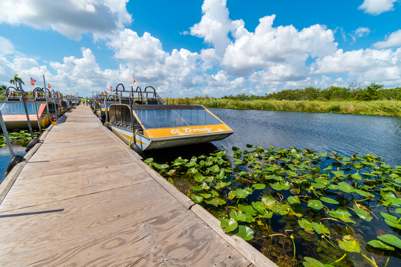 Image of airboat docked near wooden pier with water filled lilypads