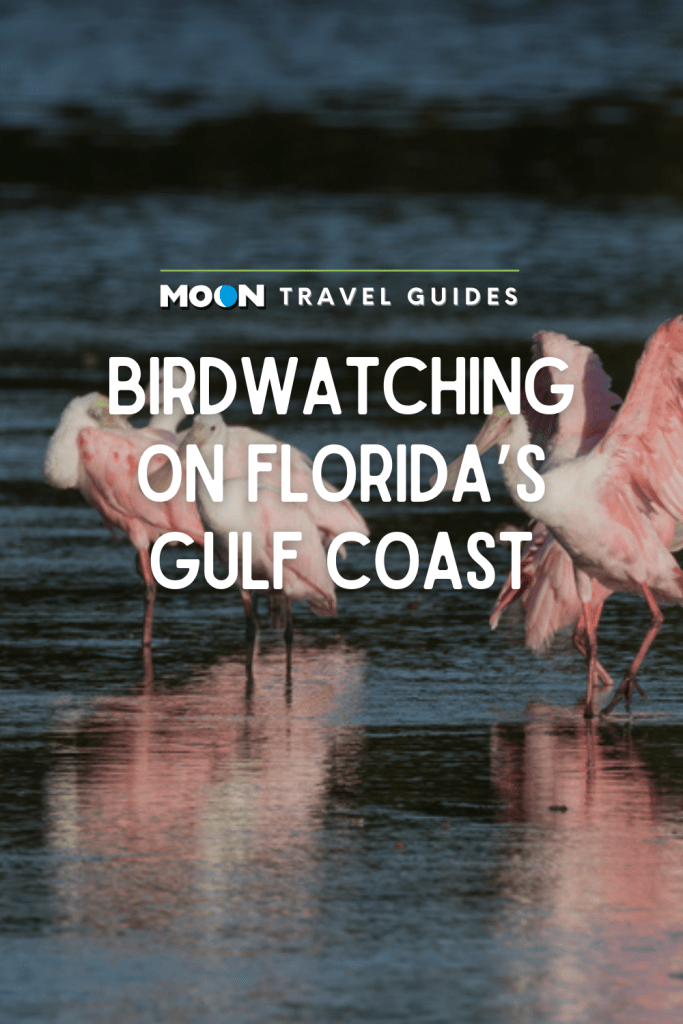 Image of pink birds on beach with text birdwatching on Florida's Gulf Coast