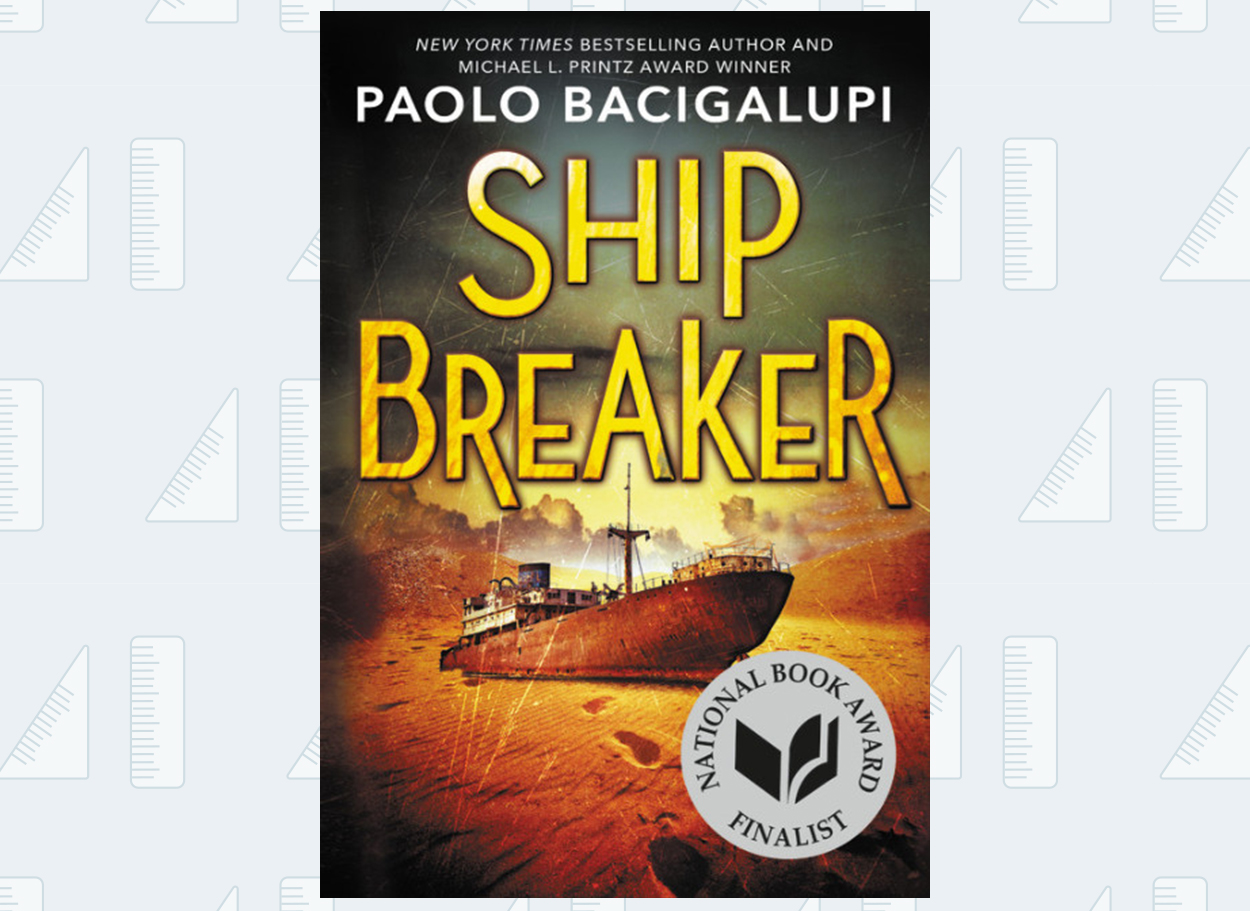 shipbreaker book