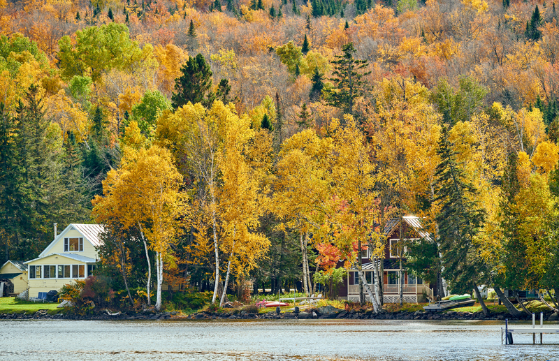 Image of two house surrounded by bright golden trees on the shore of a lake.