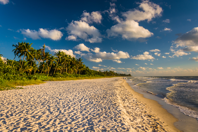 Image of white sand beach lined with green vegetation under blue sky with white puffy clouds.