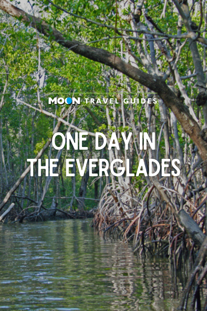 Image of mangrove forest with text One Day in the Everglades