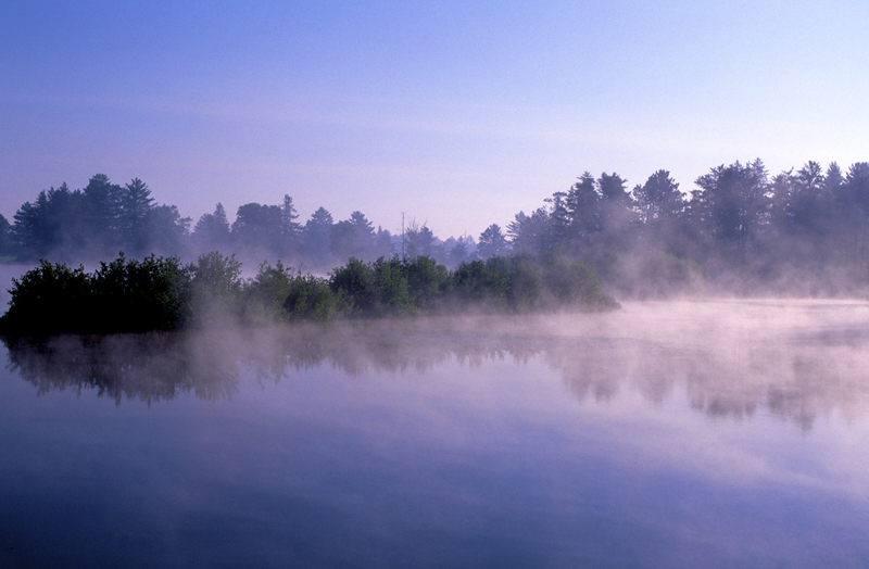 Image of misty fog rising off the surface of a forest lake under a purple sunrise.