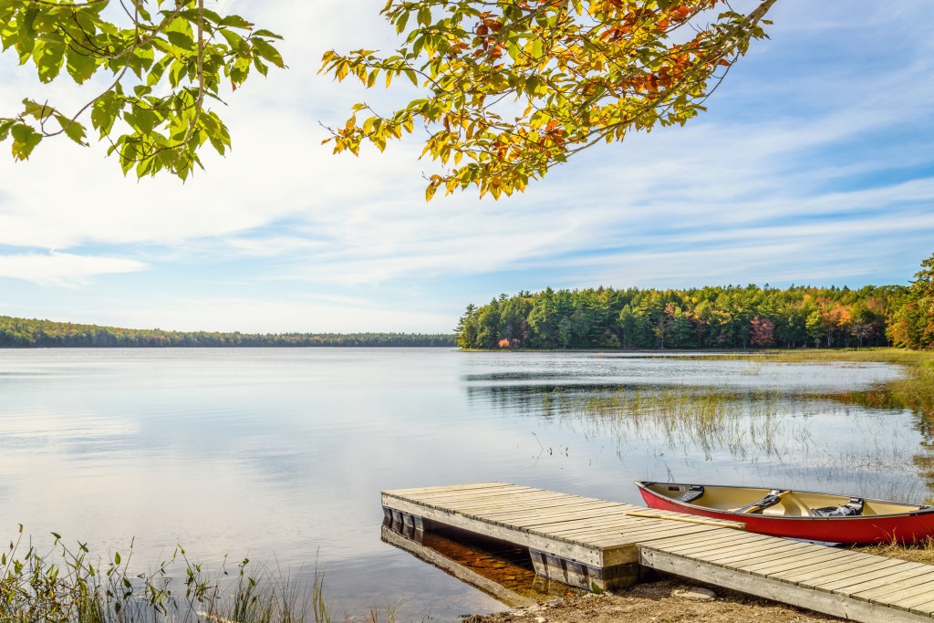 A red rowboat next to a wooden dock stretching into a calm lake under a canopy of yellow tree branches.