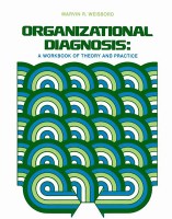 Organizational Diagnosis