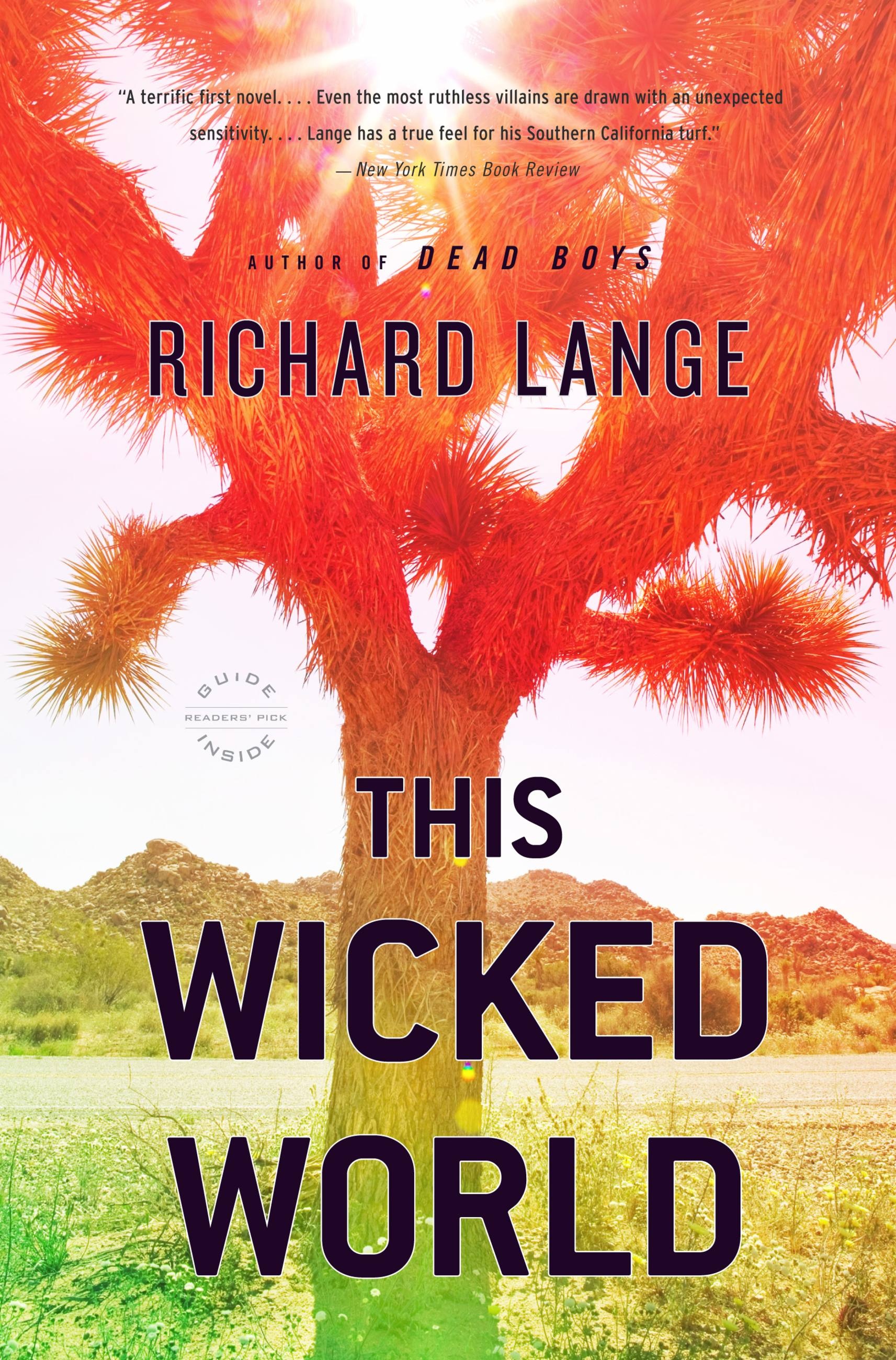 Teen Gets Pounded - This Wicked World by Richard Lange | Hachette Book Group