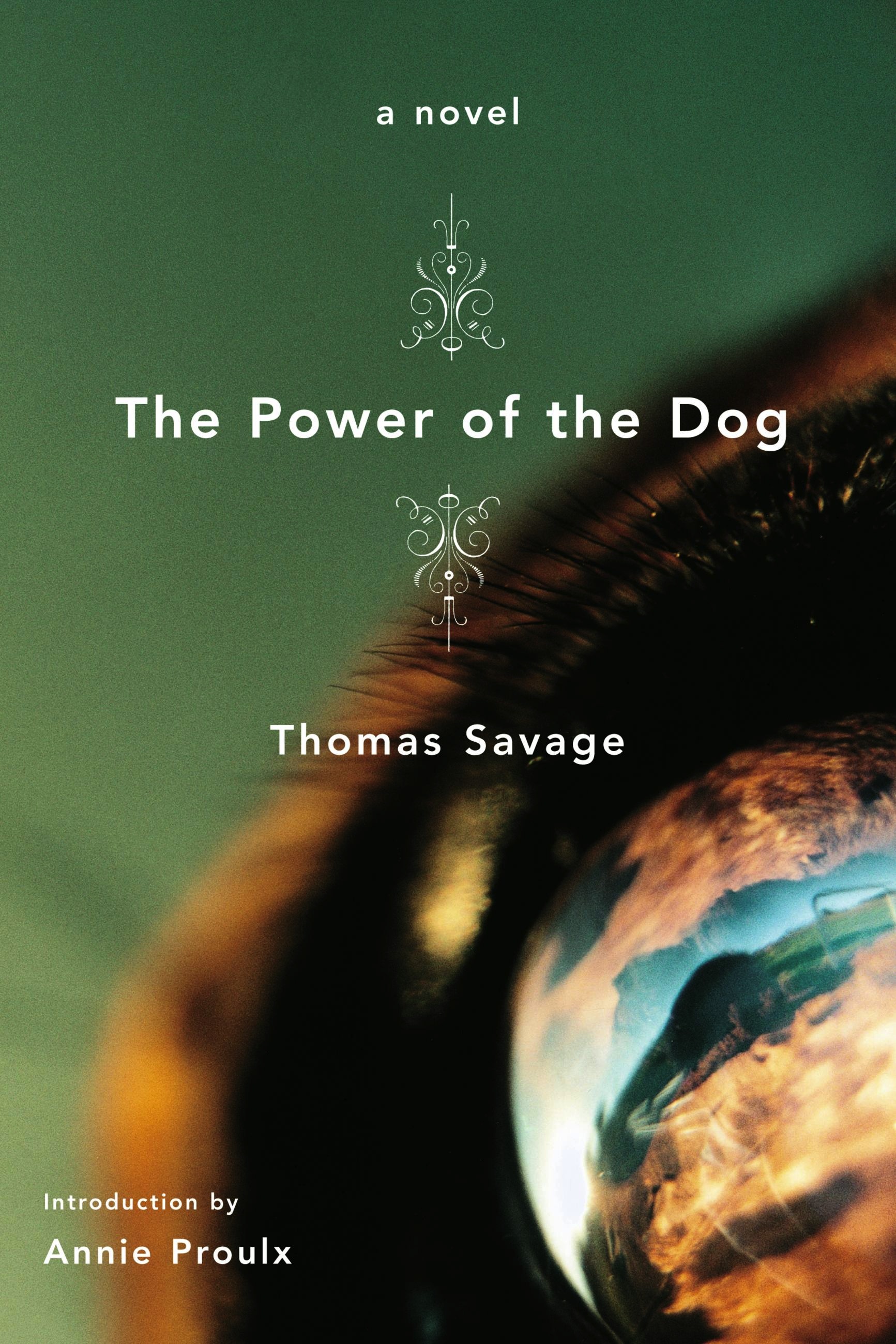 The Power Of The Dog By Thomas Savage Hachette Book Group