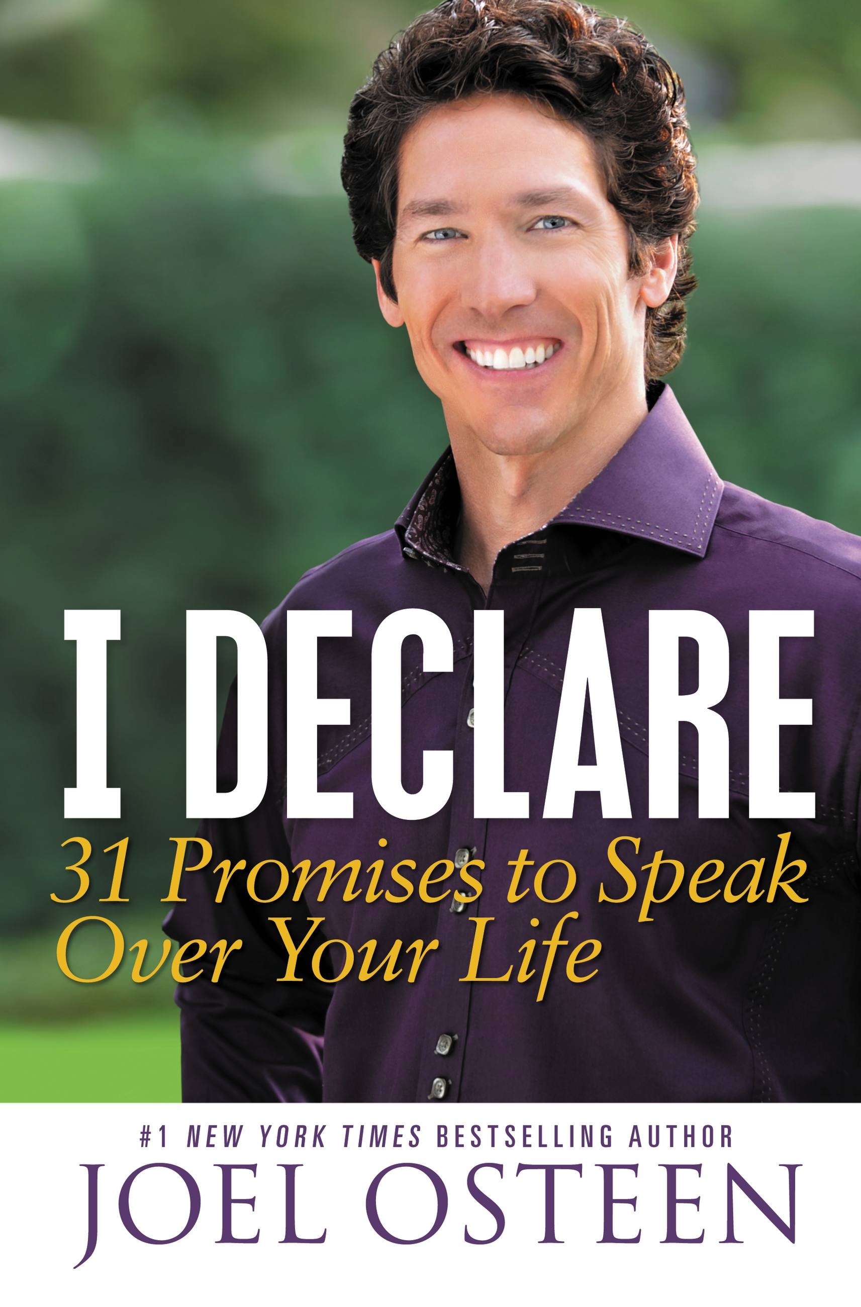 I Declare by Joel Osteen | Hachette Book Group