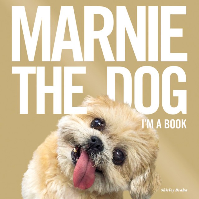 Marnie the Dog