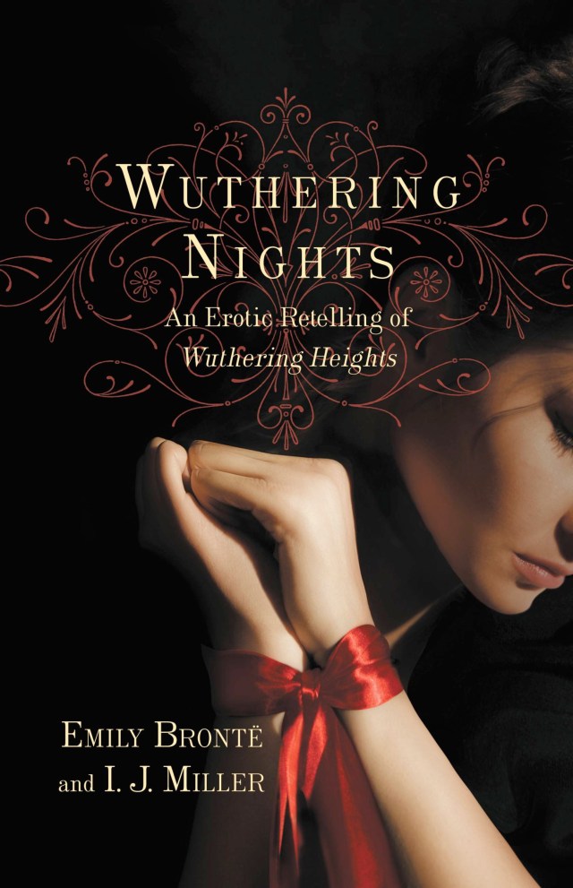 Wuthering Heights Writing Gloves Fingerless Gloves, Arm Warmers, Emily  Bronte, Literary, Book Lover, Books, Reading 