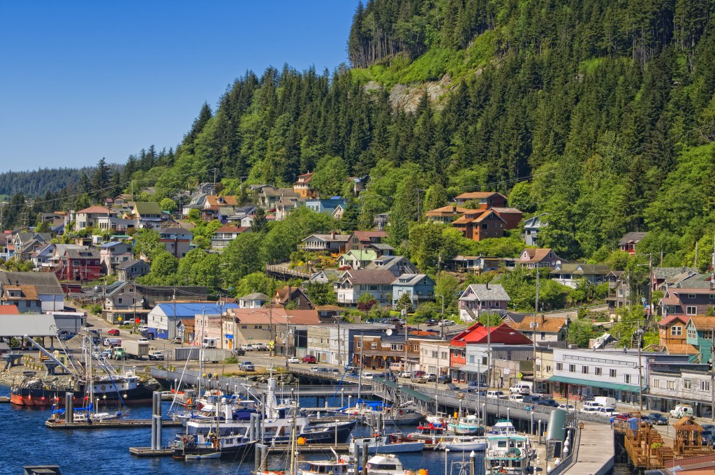 Image of colorful wooden buildings at the base of a forested hill next to a boat harbor.