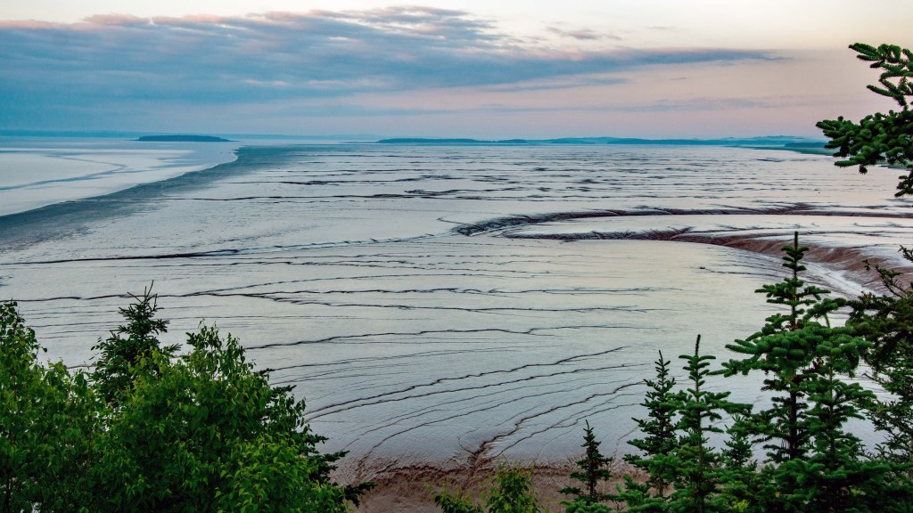 Image of very high tides reflecting the sky with tops of green trees in the foreground.