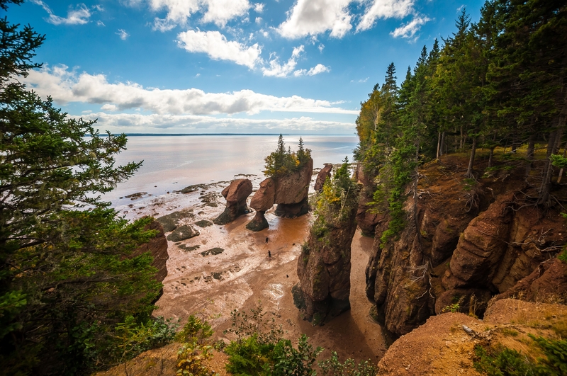 Image taken overlooking a cove with evergreen trees and rock formations sticking out of the water.