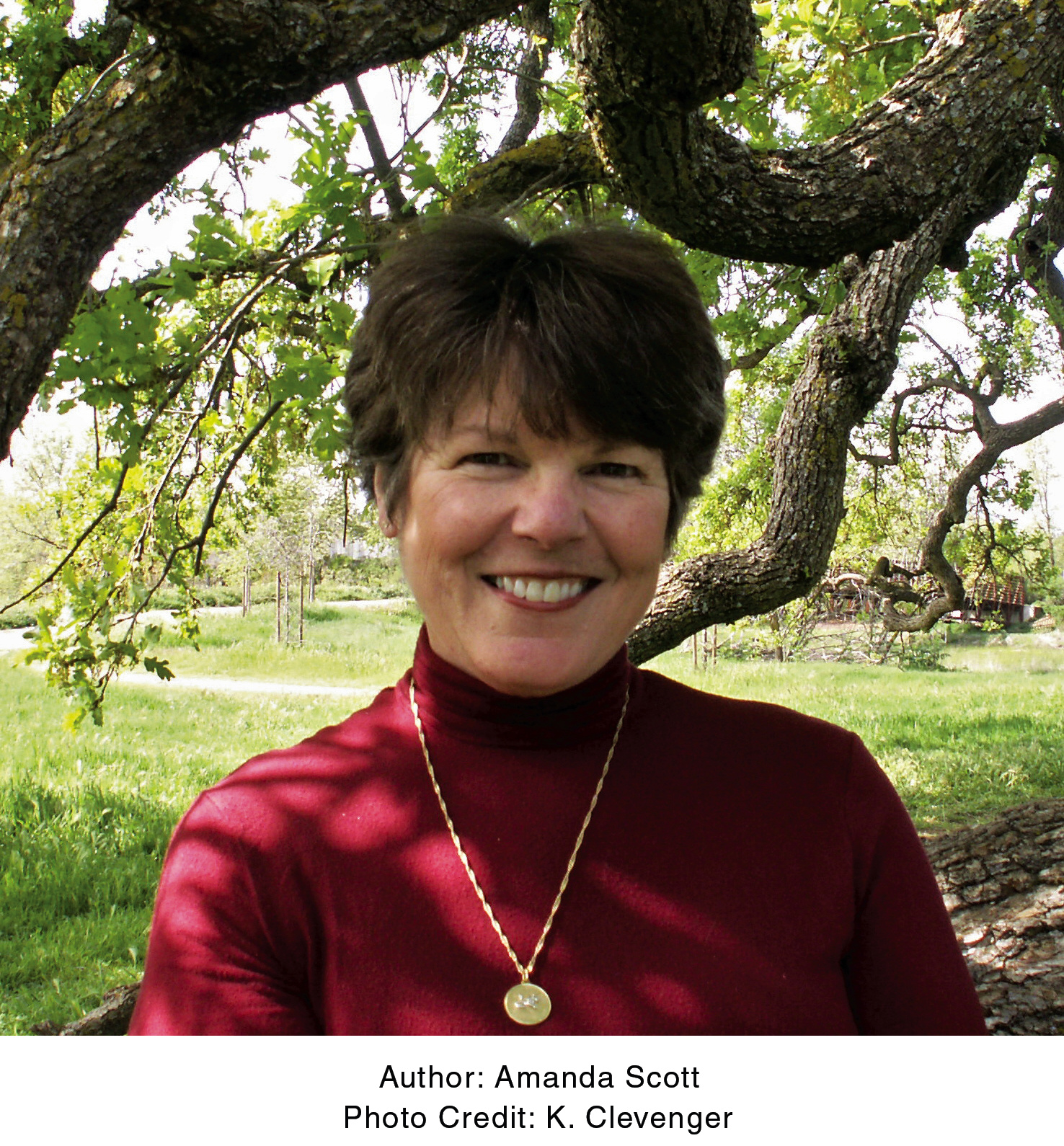 Amanda Scott | Hachette Book Group