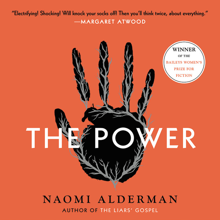 the power book by naomi alderman