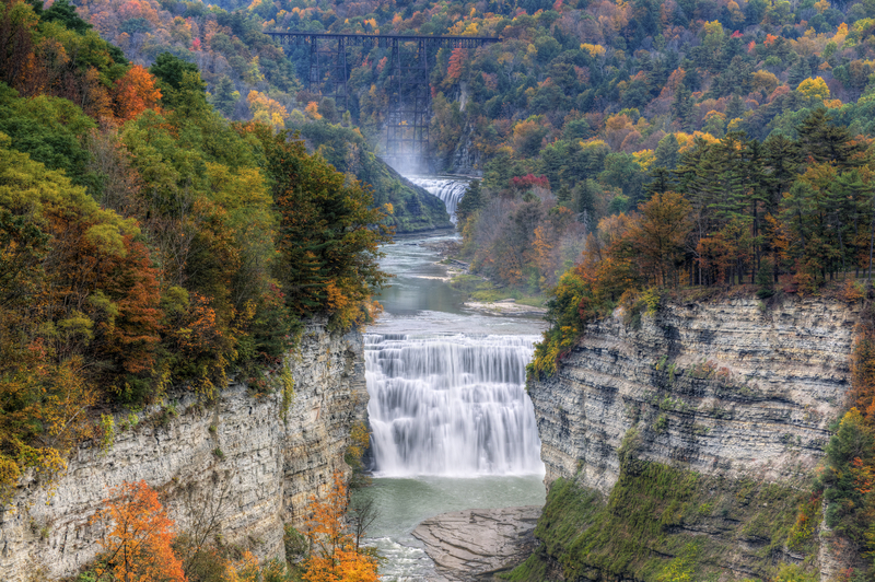 Image of waterfall rushing through gorge of autumn trees.