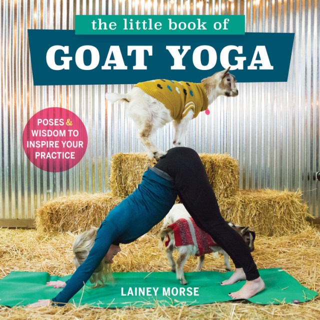 The Little Book of Goat Yoga by Lainey Morse