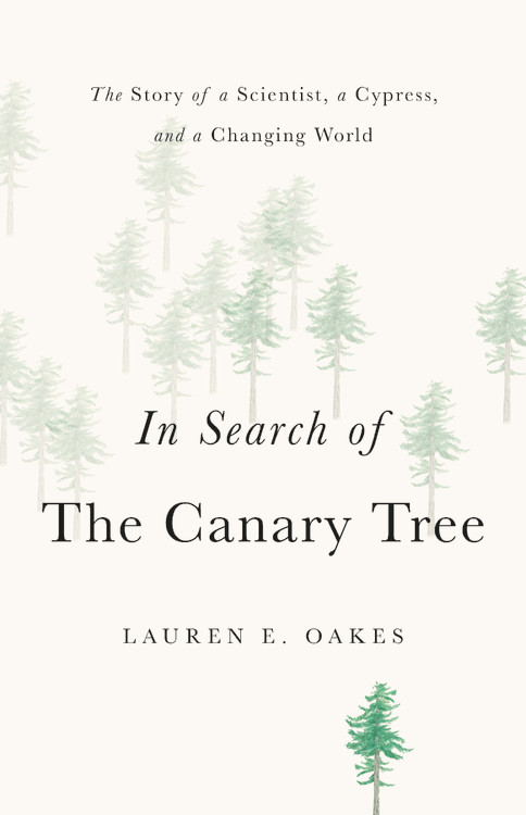 in search of the canary tree by lauren e oakes