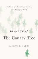 In Search of the Canary Tree