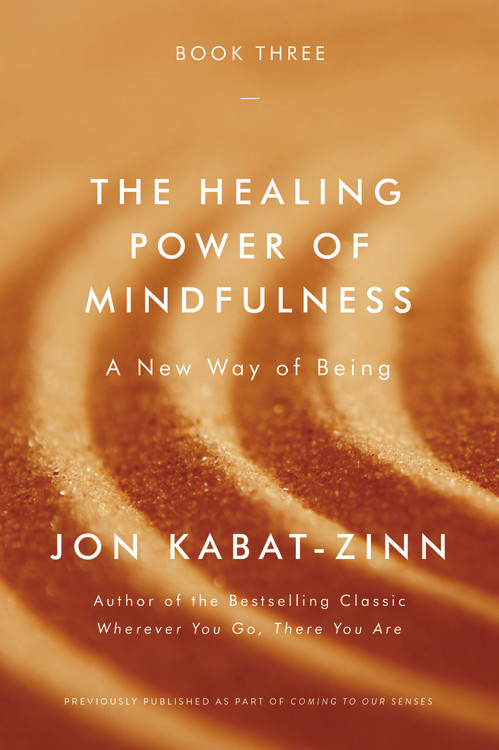 The Healing Power of Mindfulness by Jon Kabat-Zinn, PhD