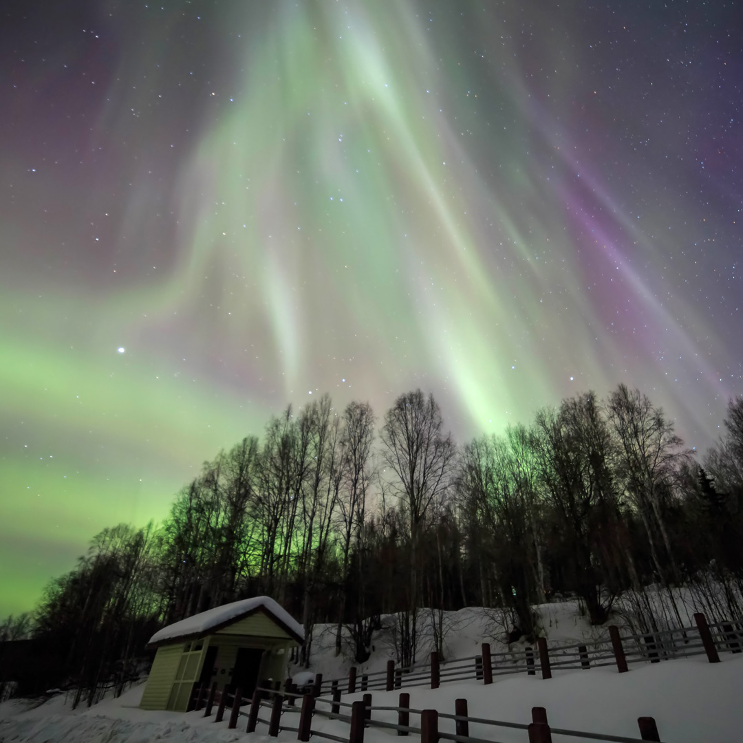 Seeing Alaska's Northern Lights