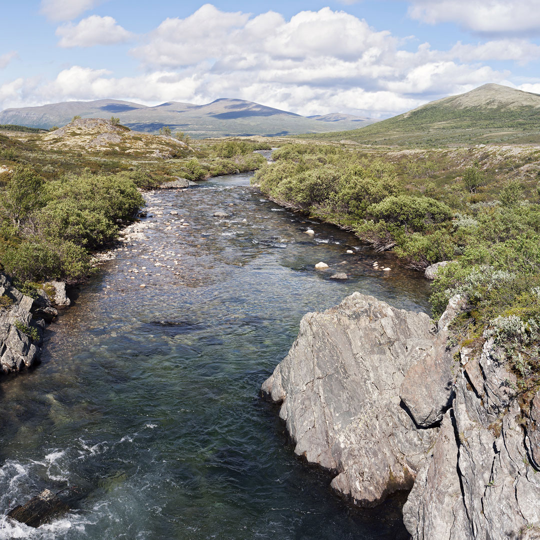 a crisp blue river runs through Dovrefjell-Sunndalsfjella National Park