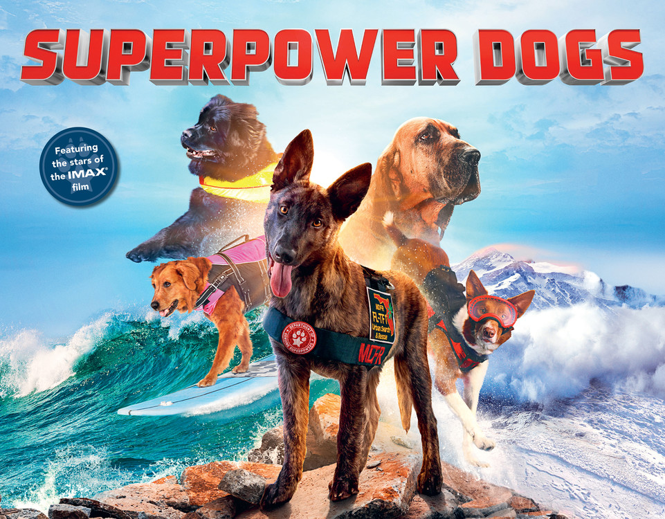 Автор собаки. Фильм Superpower Dogs 2019. The Power of the Dog. The Power of the Dog book. The Power of the Dog Кимбербеч.