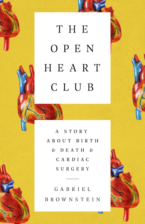 The Open Heart Club by Gabriel Brownstein Hachette Book Group