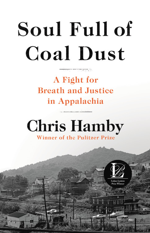 soul full of coal dust by chris hamby