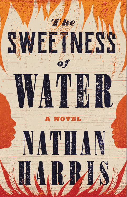 the sweetness of water book review