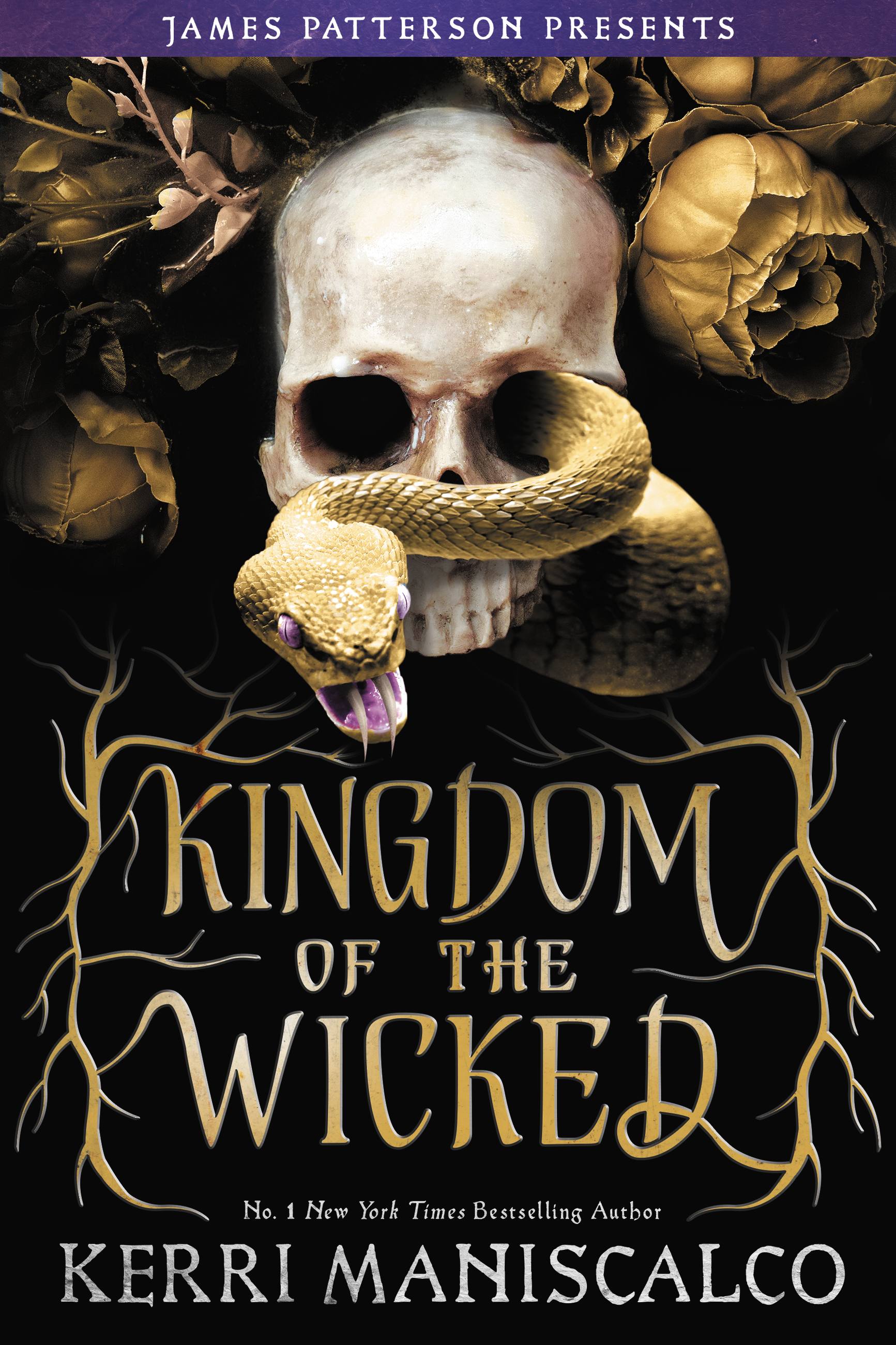 kingdom of the wicked book