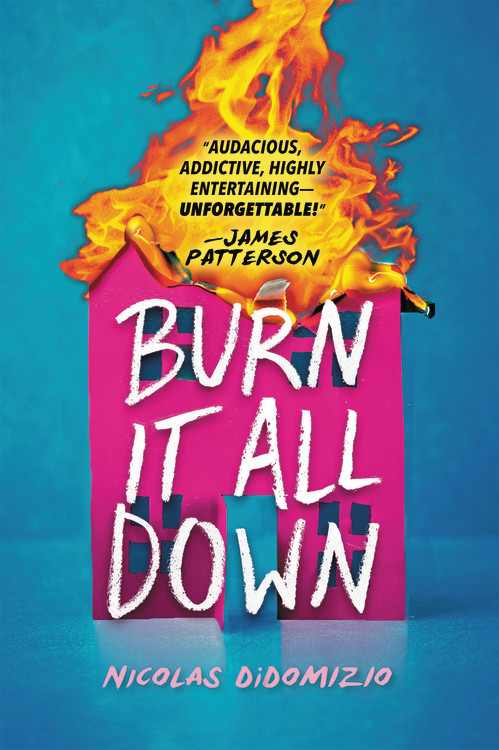 Burn It All Down by Nicolas DiDomizio | Hachette Book Group