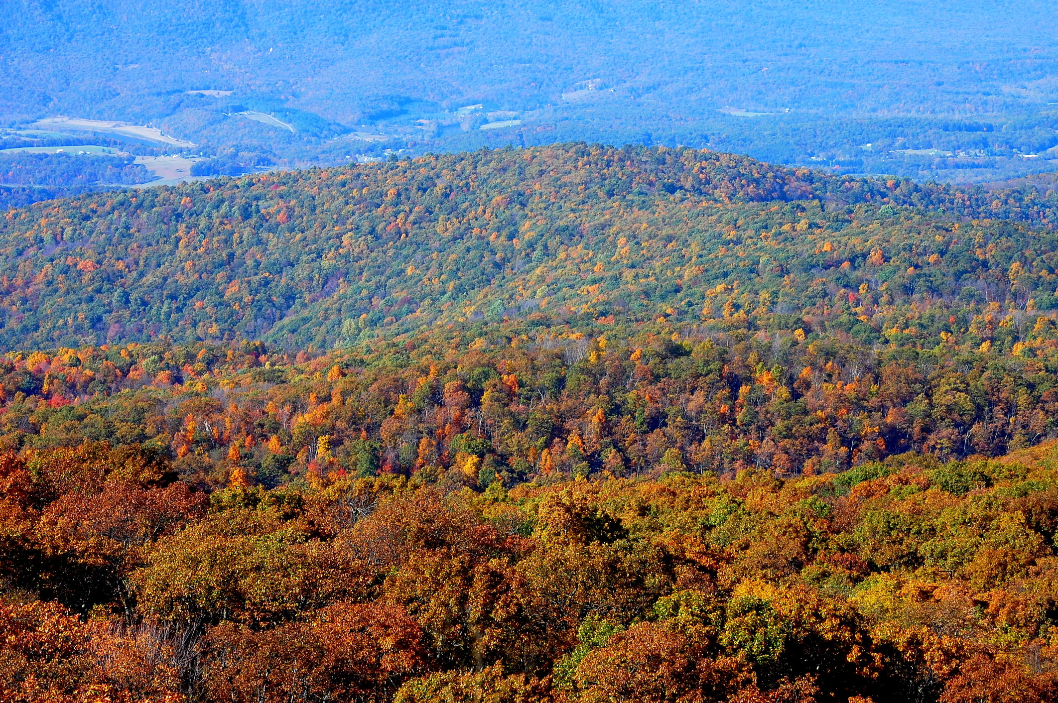 Best Hikes Along The Blue Ridge Parkway | Moon Travel Guides