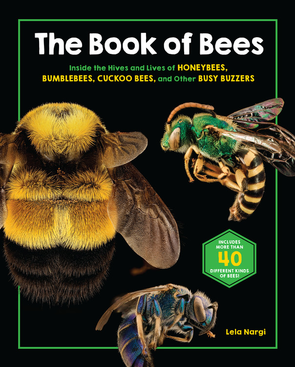 Picture Books about Bees