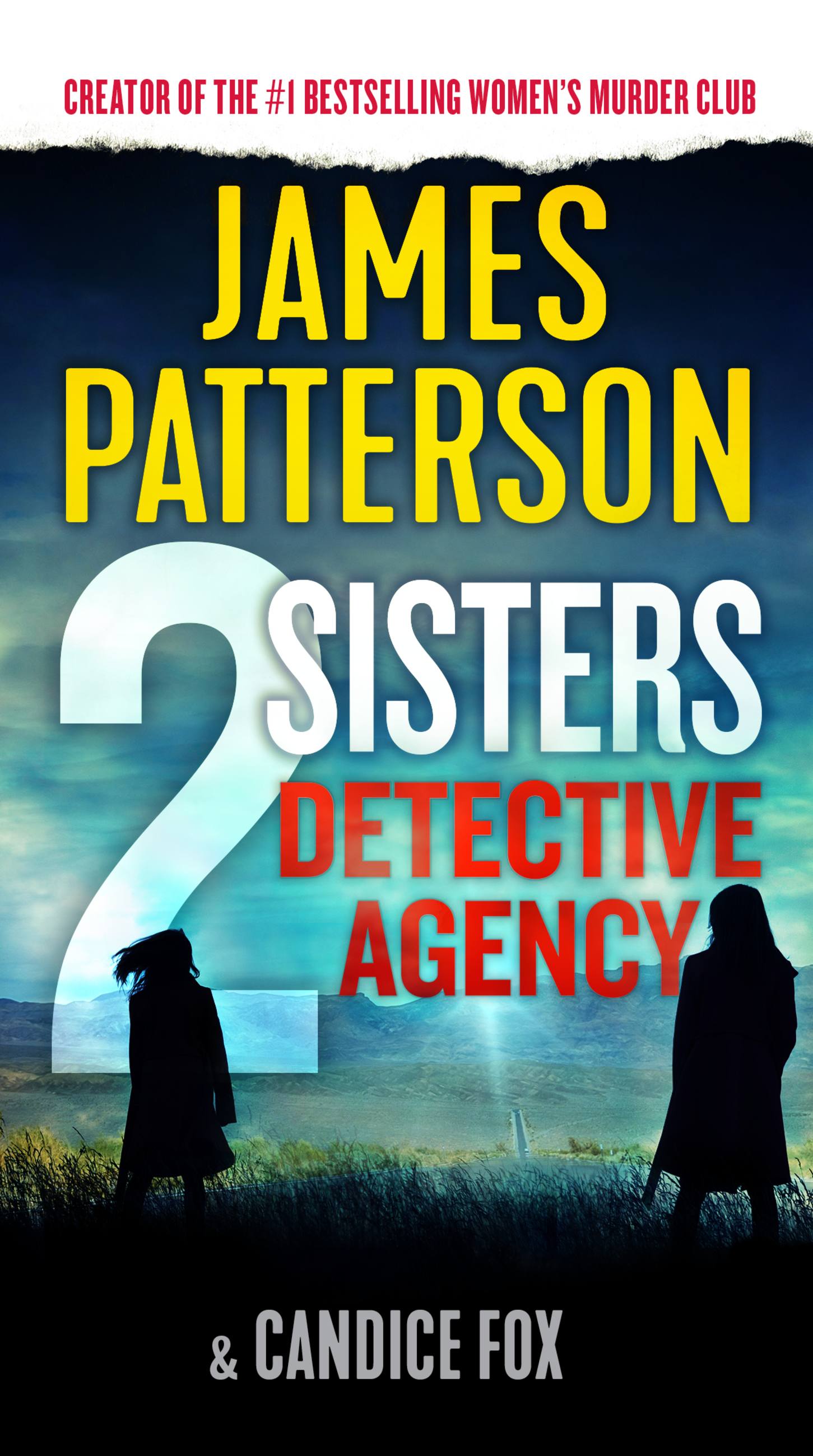 will 2 sisters detective agency be a series