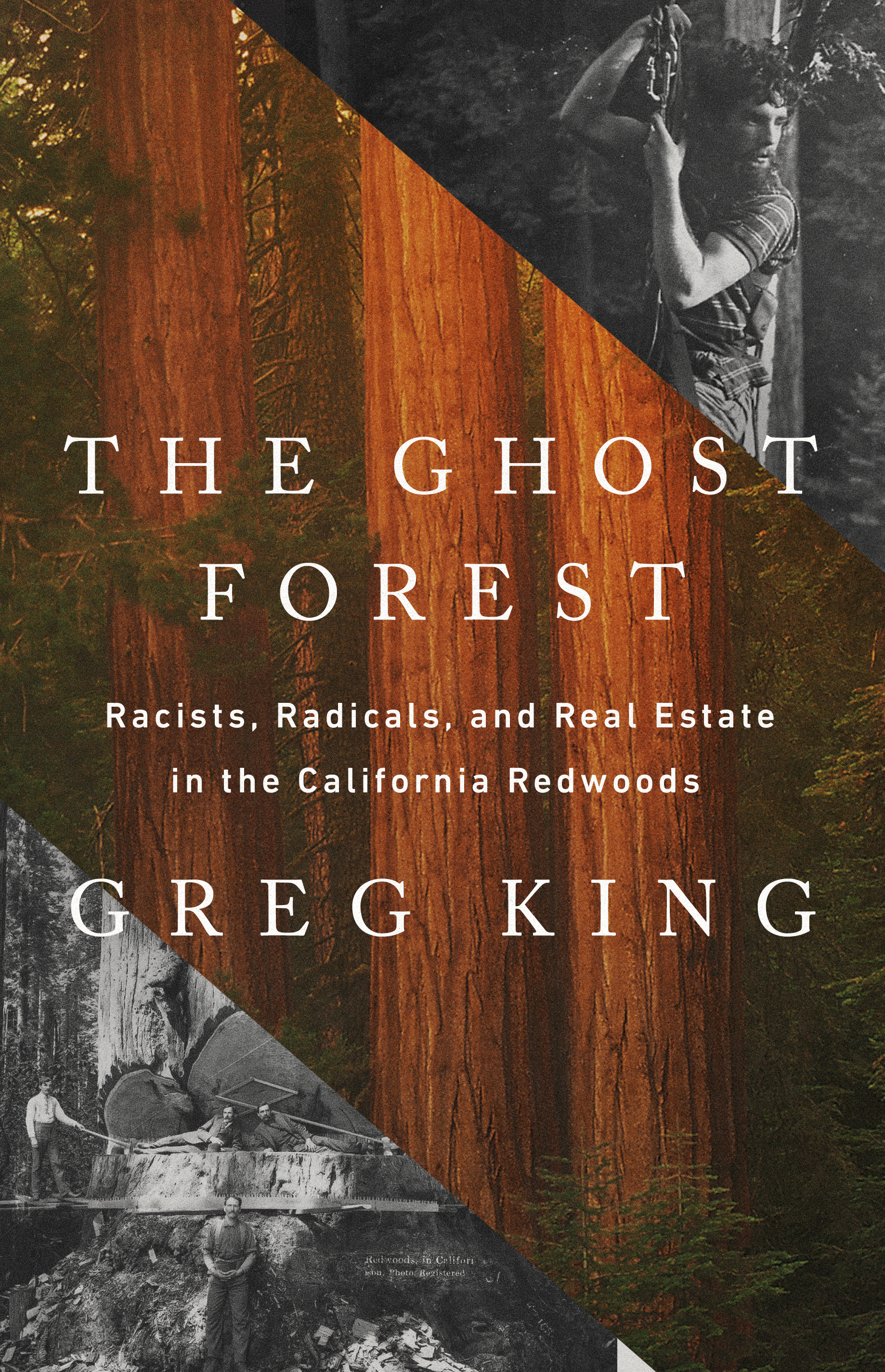 The Ghost Forest by Greg King | Hachette Book Group