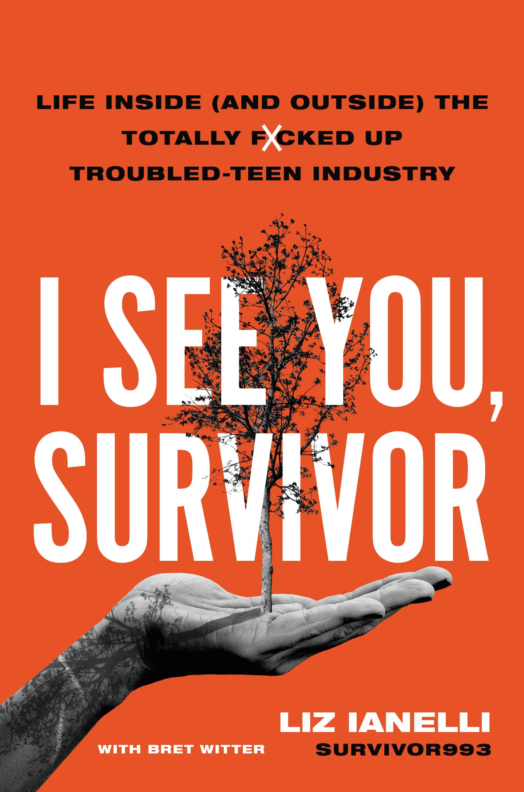 I See You, Survivor by Liz Ianelli Hachette Book Group photo photo