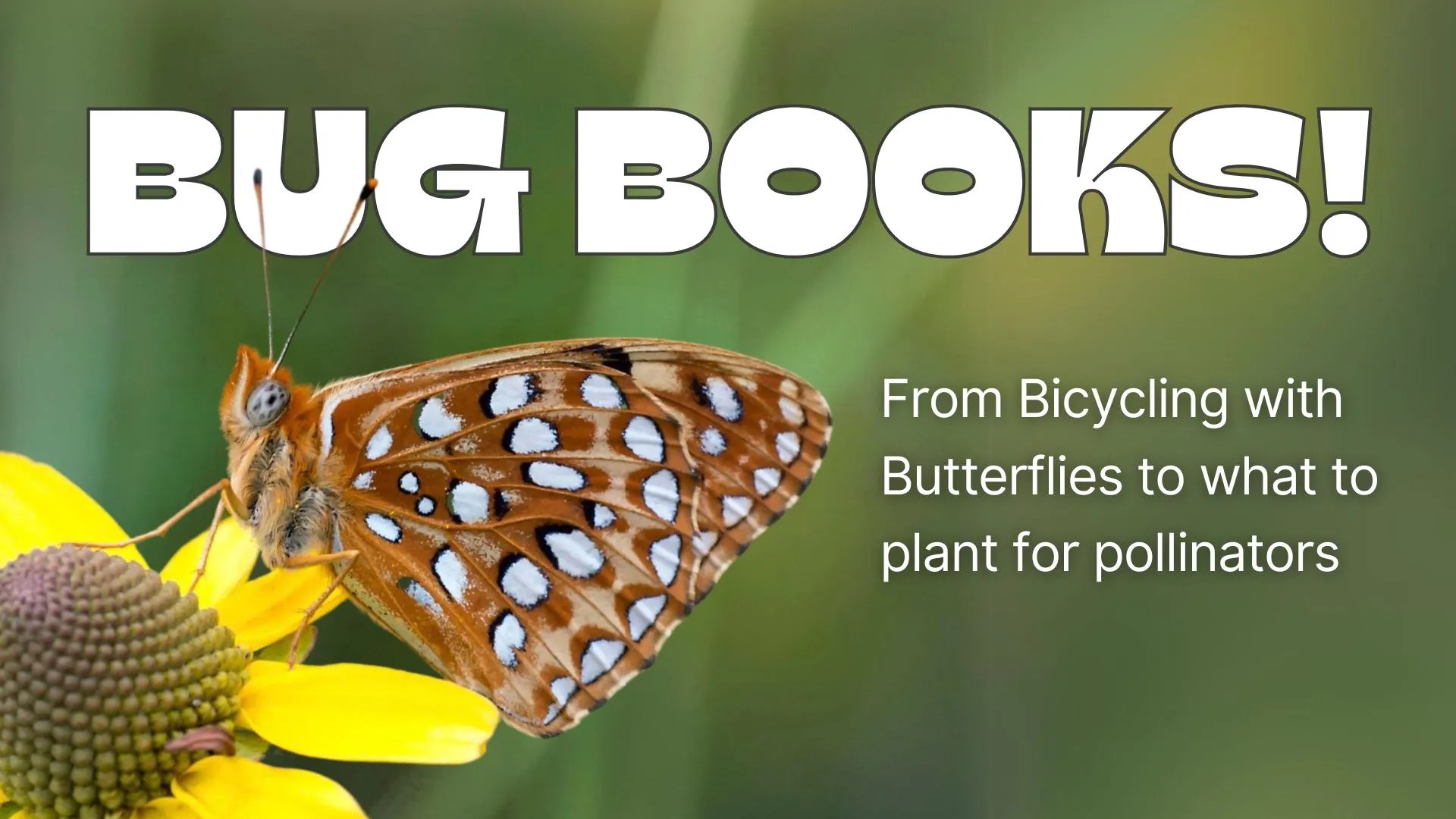 Graphic button that links to a list of books about bugs.