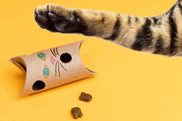 How to Make a Quick Cat Puzzle Toy 