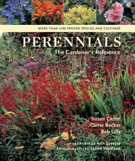 Perennials