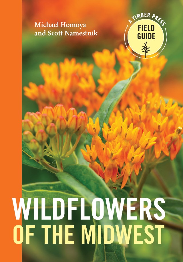 Book　the　Midwest　Group　by　Homoya　Michael　Hachette　Wildflowers　of