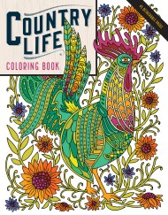 Workman Publishing, The Reverse Coloring Book, 50-Page Reverse Coloring Book