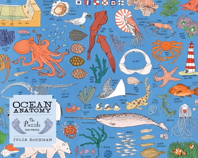 Ocean Anatomy: The Puzzle (500 pieces) by Julia Rothman