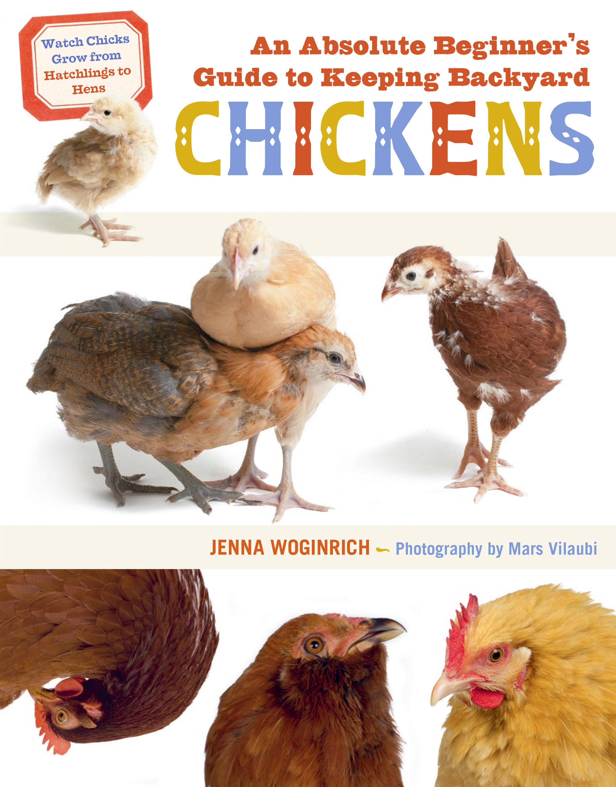 The Ultimate Guide to Chickens and Rats - ChickenGuard