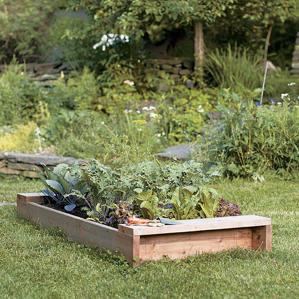 How to Build a Raised Garden Bed | Hachette Book Group