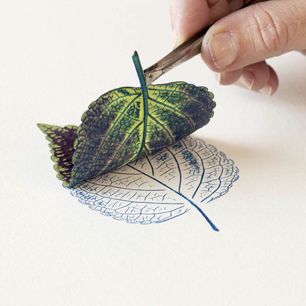 Leaf Printing 