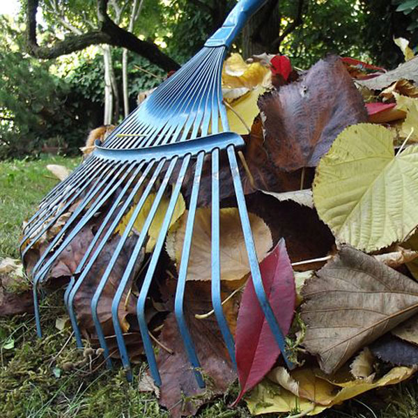 How to Use Leaves for Compost and Mulch