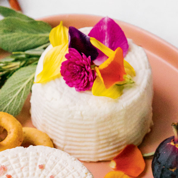 Make Herb Lovers Cheese Wheels in Your Instant Pot Hachette